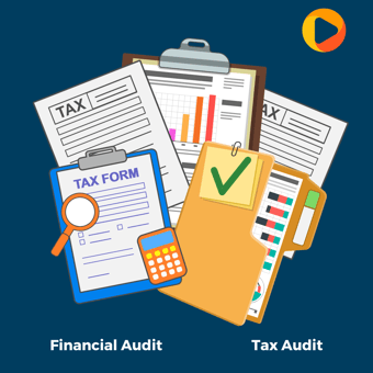 working papers tax audit (1)